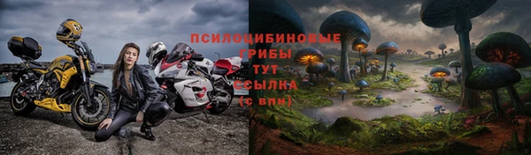 2c-b Алзамай